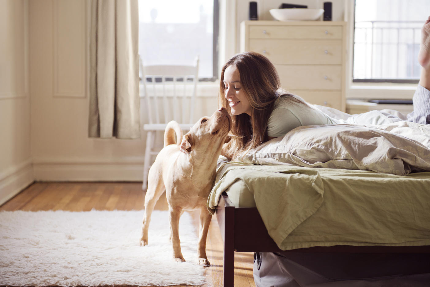 Young woman playing with dog in bedroom
Royalty free image
