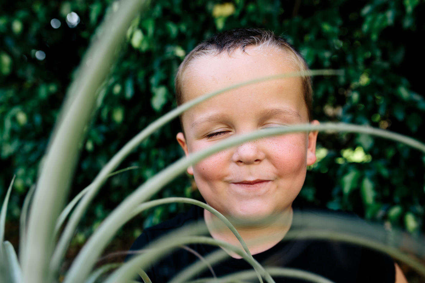 Close-up of cute boy with eyes closed sitting in yard
Royalty free image