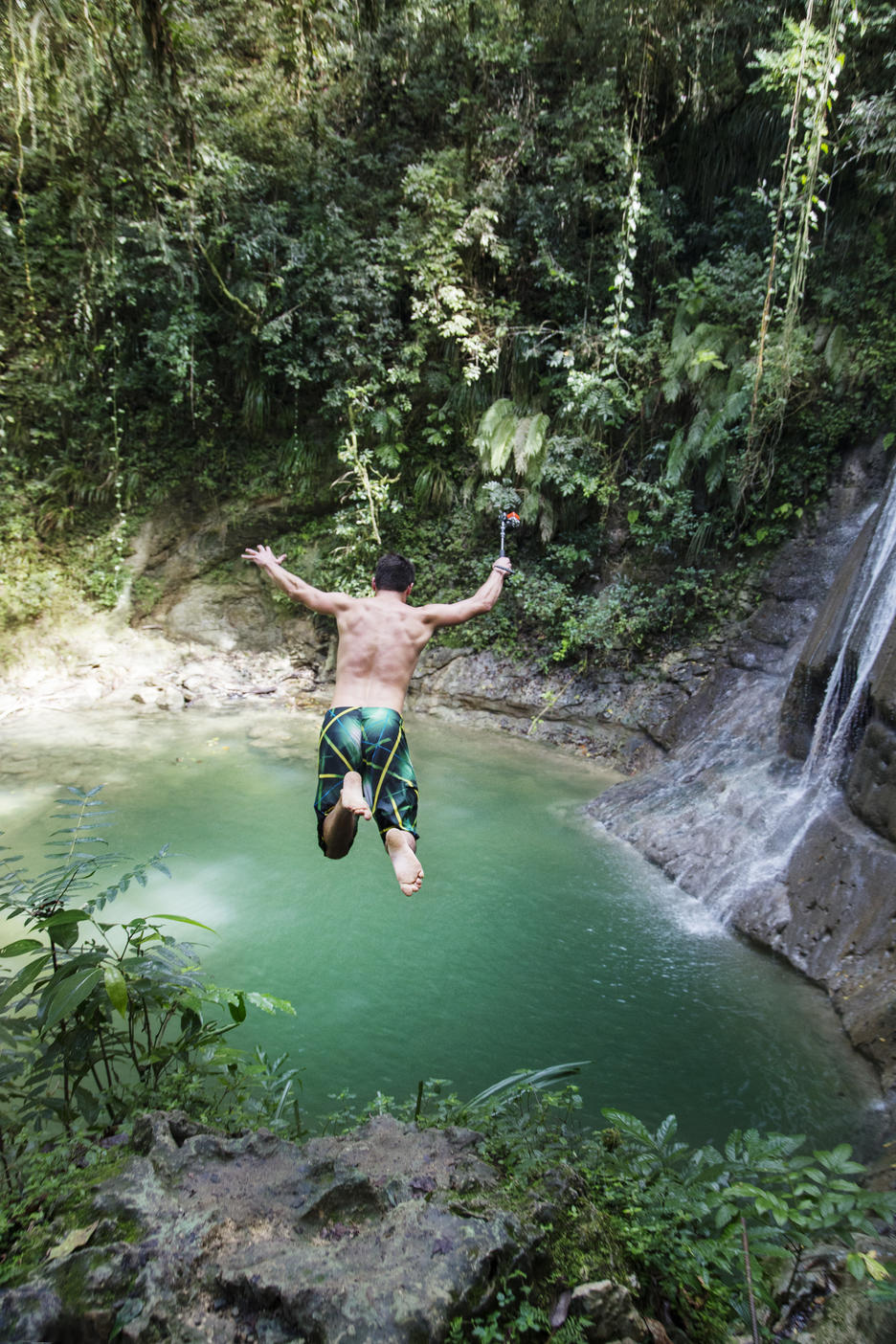 High angle view of man diving into lake at forest
Royalty free image