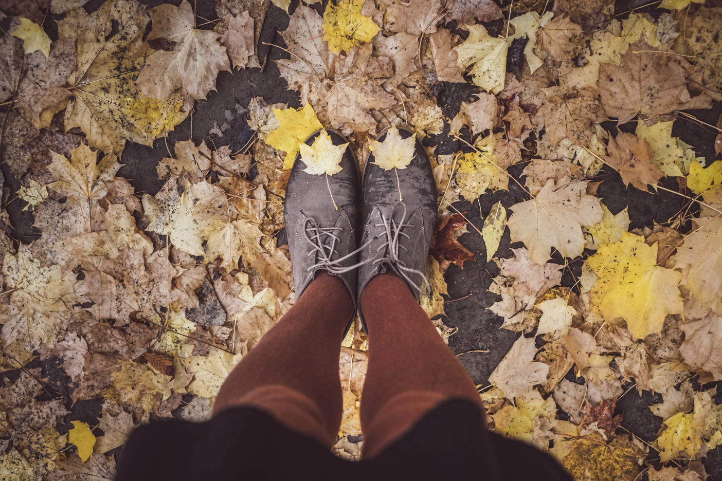 Junge Frau macht Selfie von ihren Beinen im Herbst, Teilansicht
Lizenzfreies Stockfoto