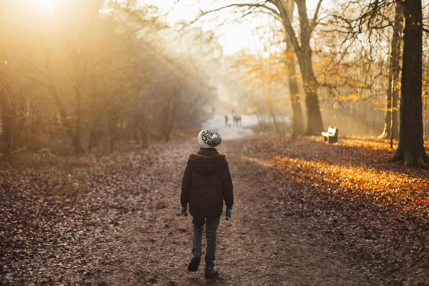 Junge spaziert durch einen sonnendurchfluteten Wald
Lizenzfreies Stockfoto