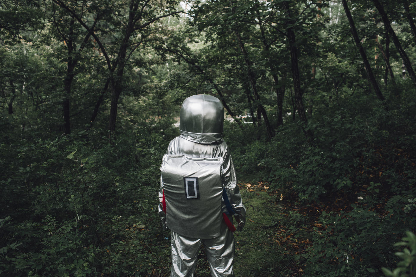 Spaceman exploring nature, walking in forest
Royalty free image