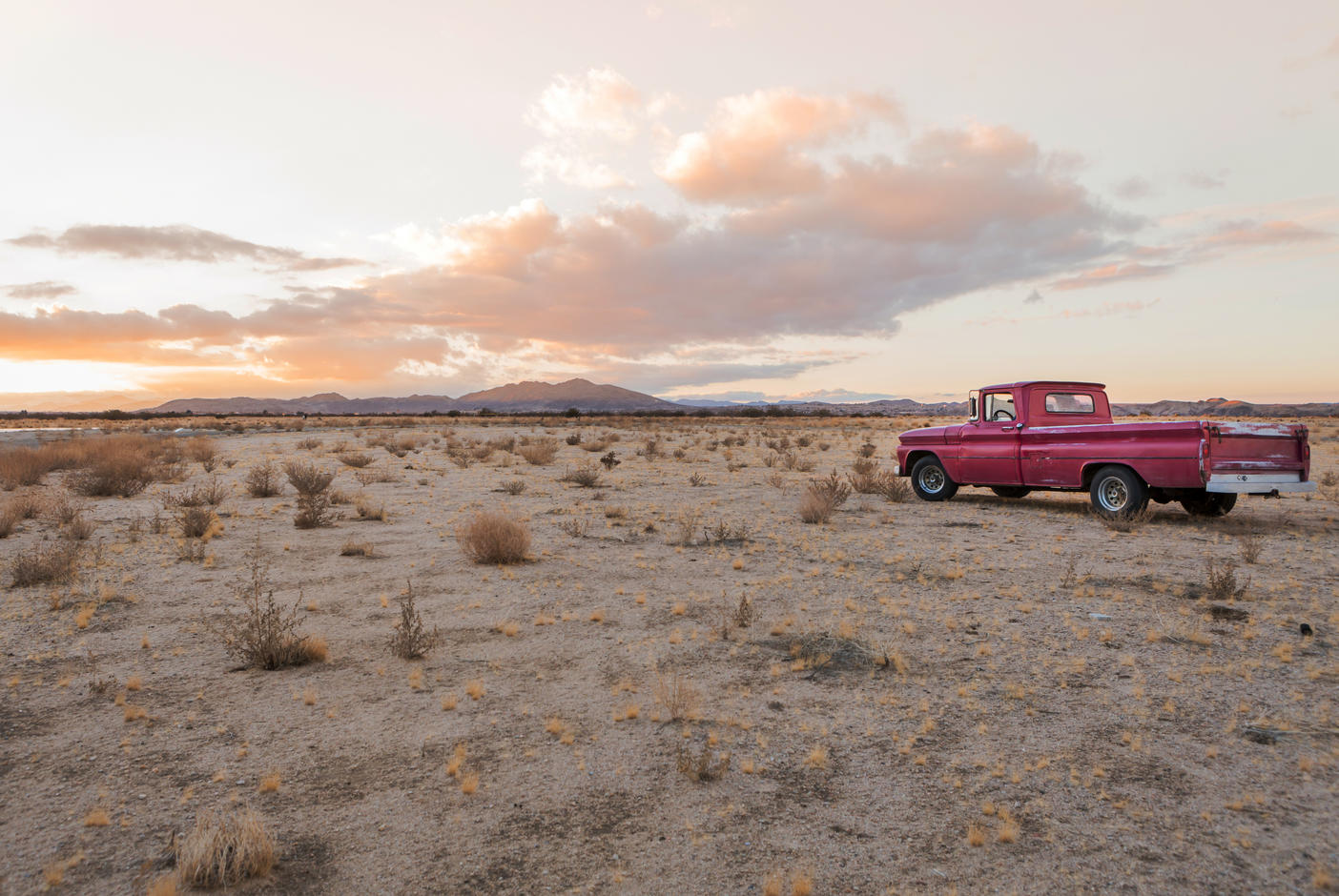 USA, California, Joshua Tree, Pick-Up truck in the desert of Joshua Tree
Royalty free image