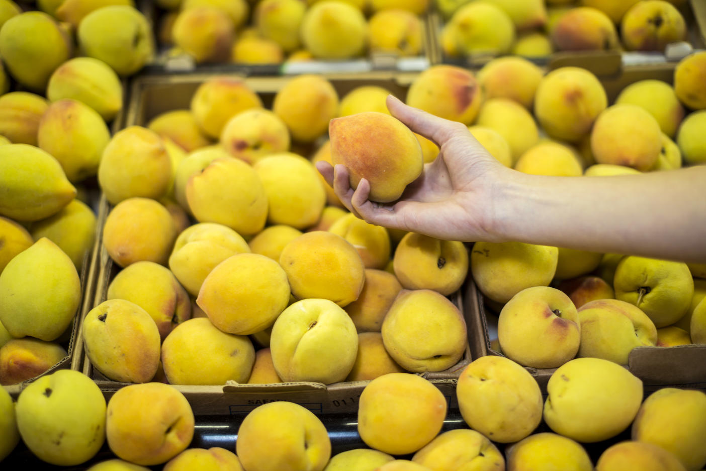 Hand picking peaches at fruit stall
Royalty free image