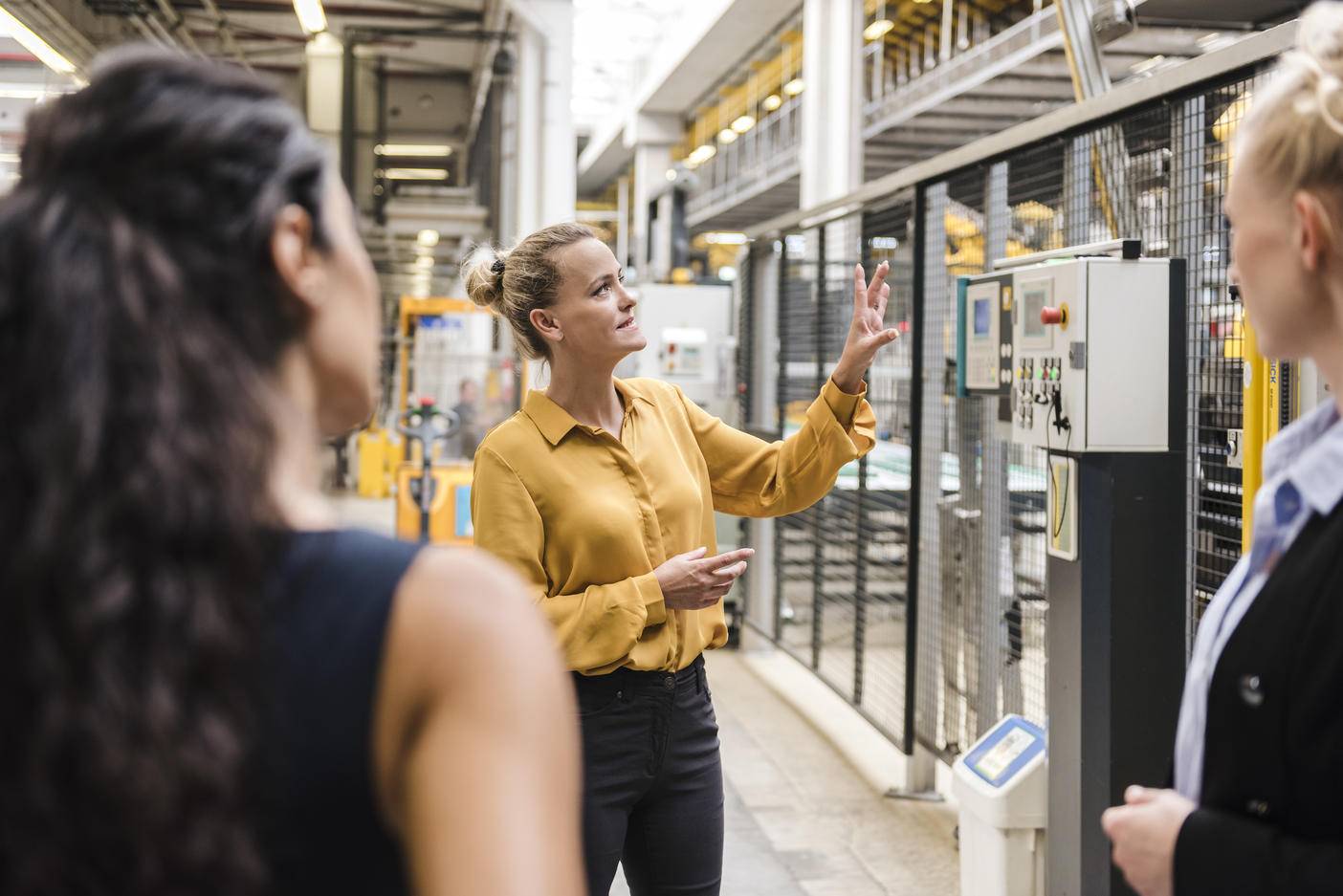 Eine Frau erklärt ihren Kollegen in einer modernen Fabrik eine Maschine Lizenzfreies Stockfoto Eine Frau erklärt ihren Kollegen in einer modernen Fabrik eine Maschine
Lizenzfreies Stockfoto