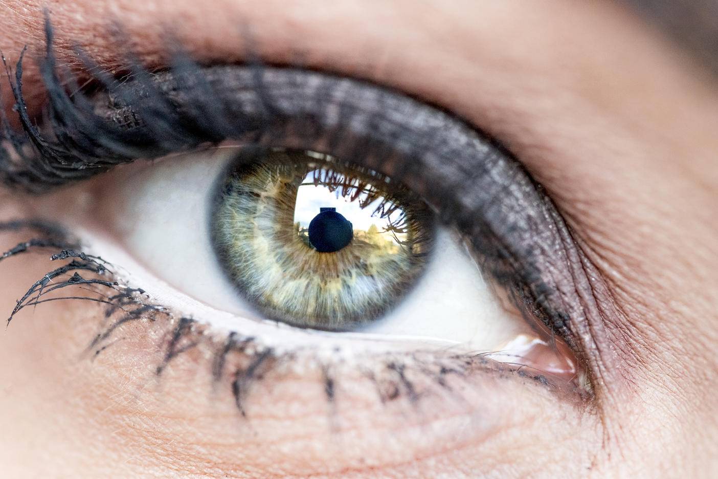 Woman's eye, close-up
Royalty free image