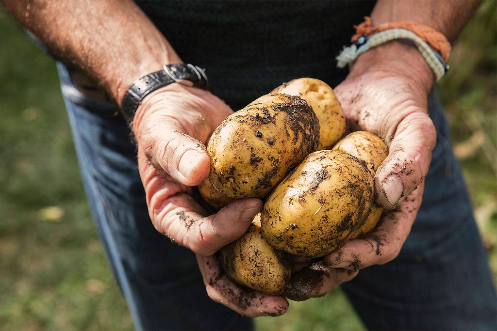 Lizenzfreie Bilder Ernährung