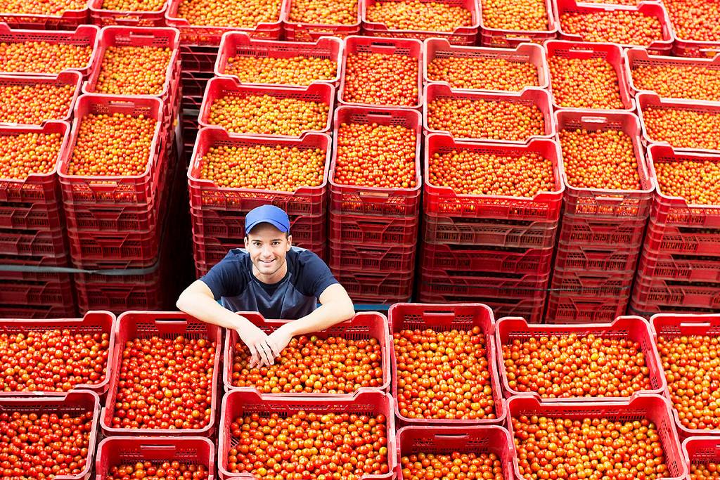 Lizenzfreie Bilder Ernährung