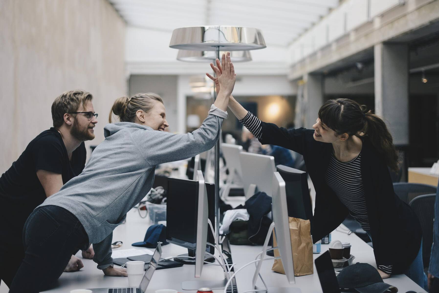 Happy female computer programmers giving high-five over desk in office Royalty free image Happy female computer programmers giving high-five over desk in office
Royalty free image
