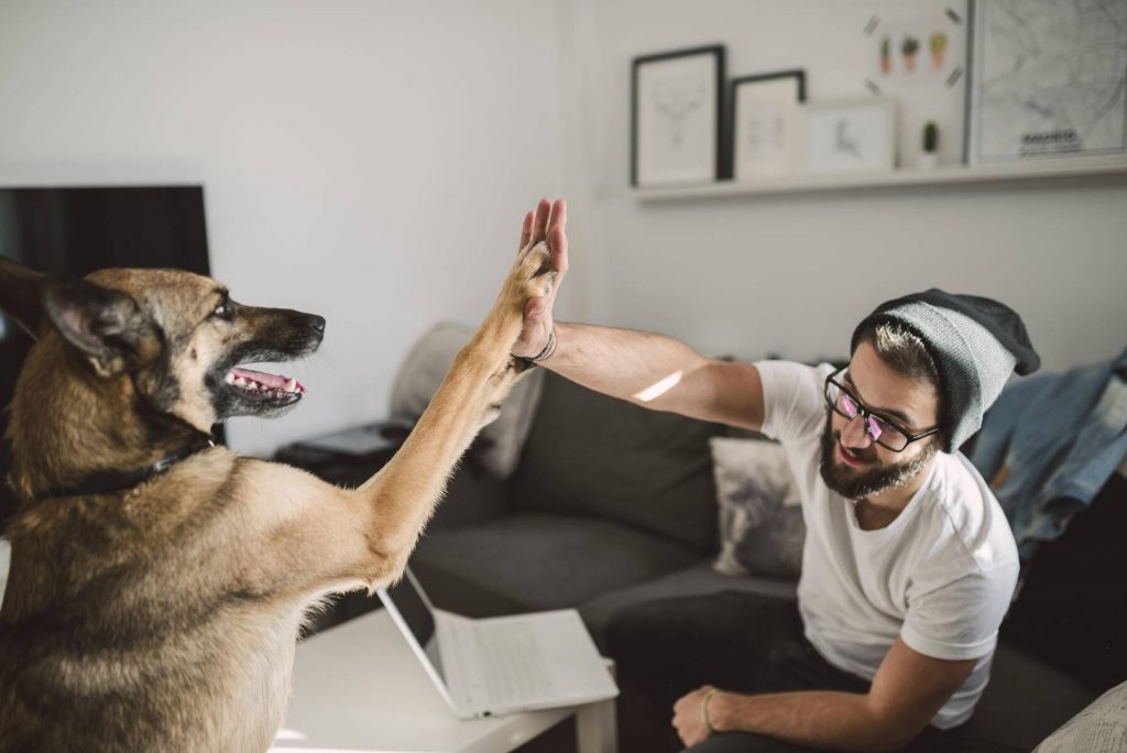 Young man at home giving high five with his dog - RAEF01744