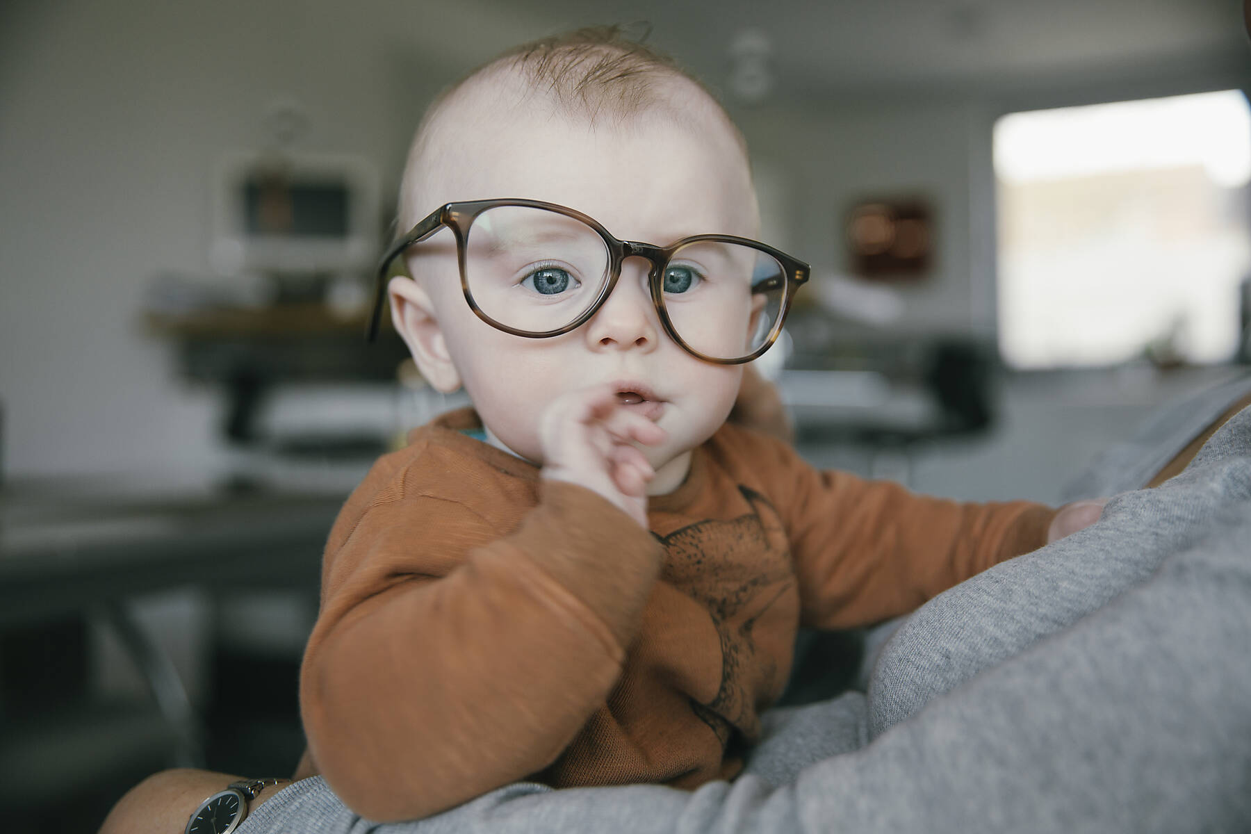 Stock image, royalty-free, Baby boy wearing oversized glasses