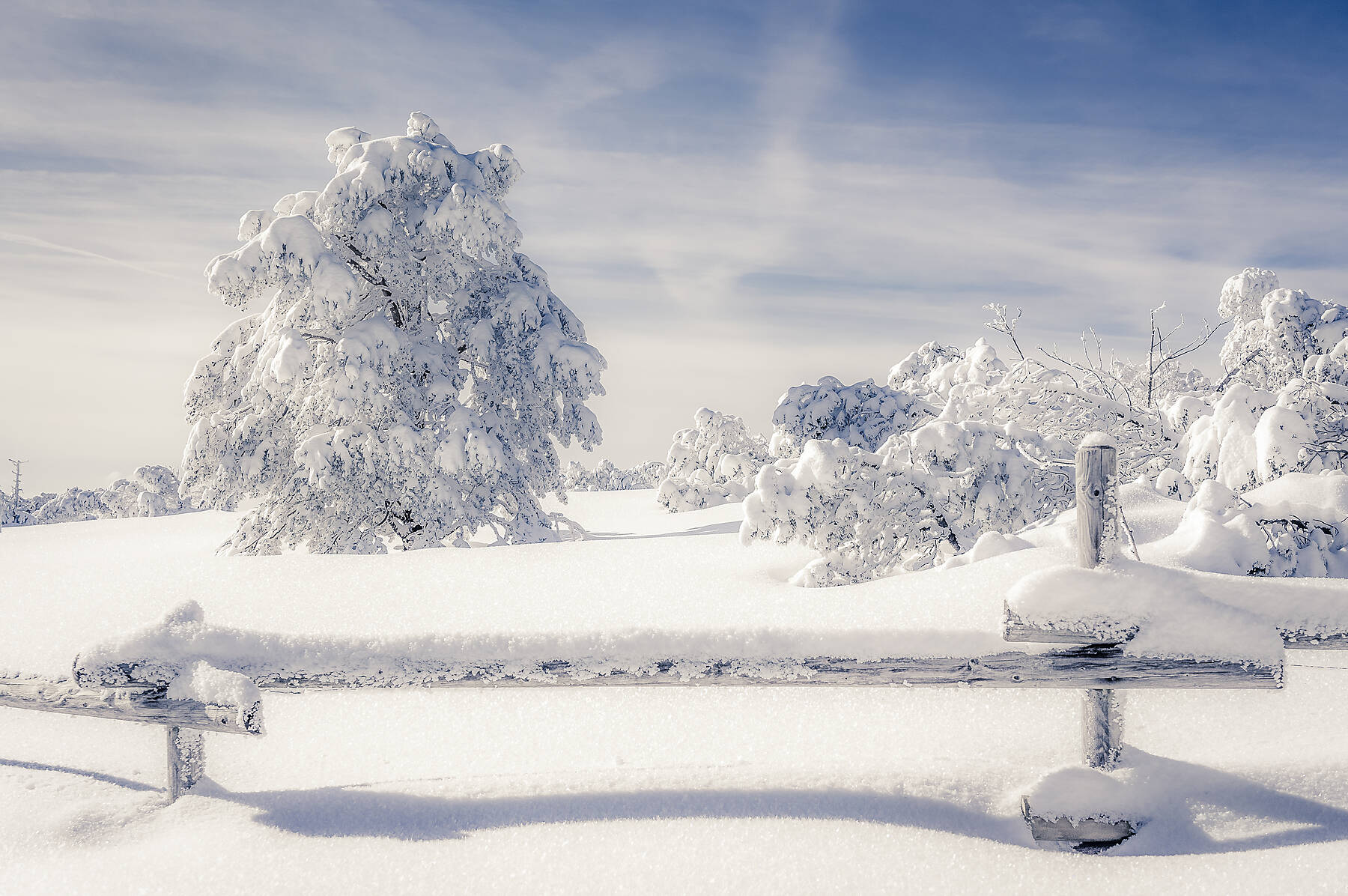 stock image, royalty-free, Germany, Baden-Wuerttemberg, Schliffkopf, winter landscape at Black forest
