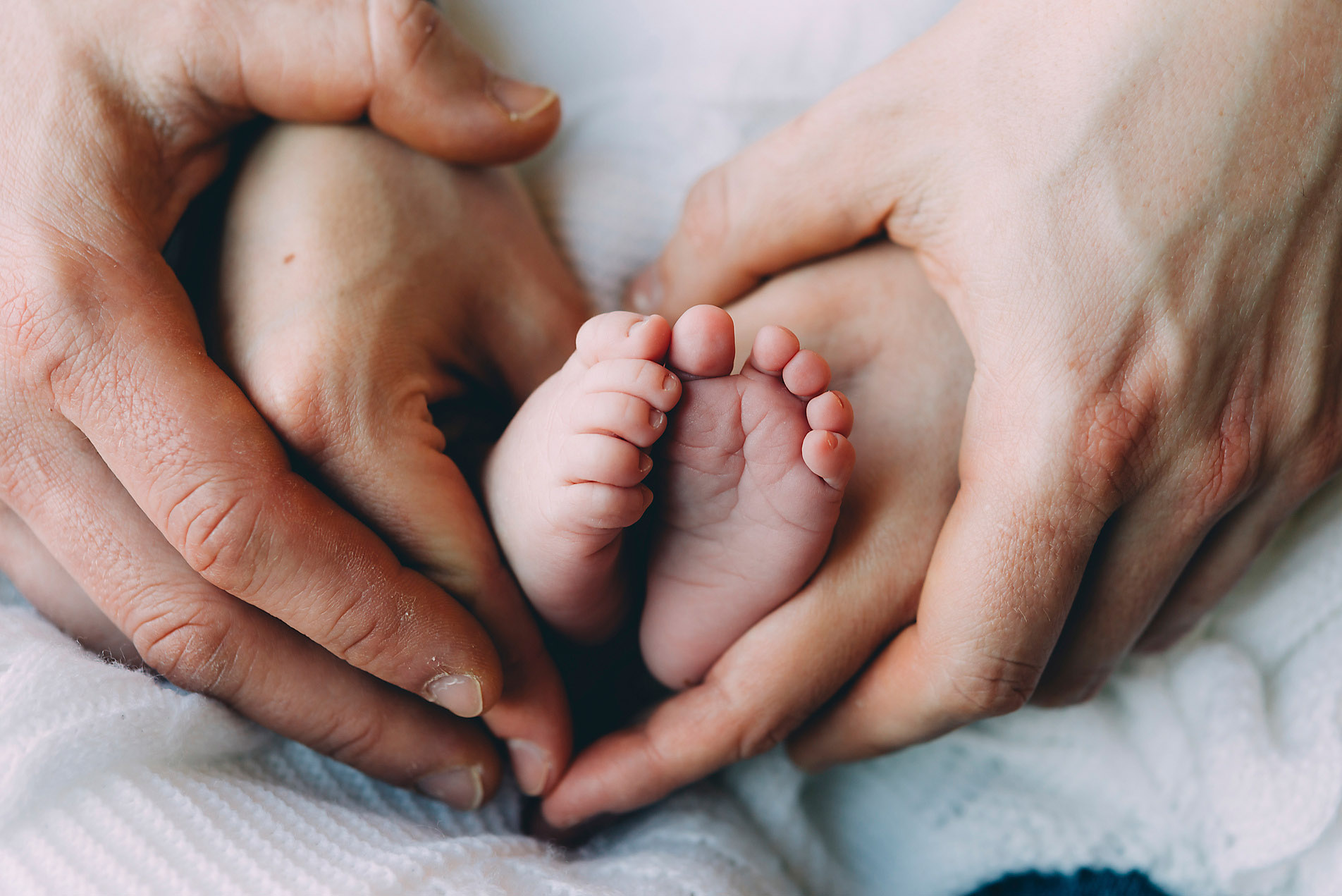 Father and mother hands holding baby feet, family, safety, protection, stock photo, royalty free