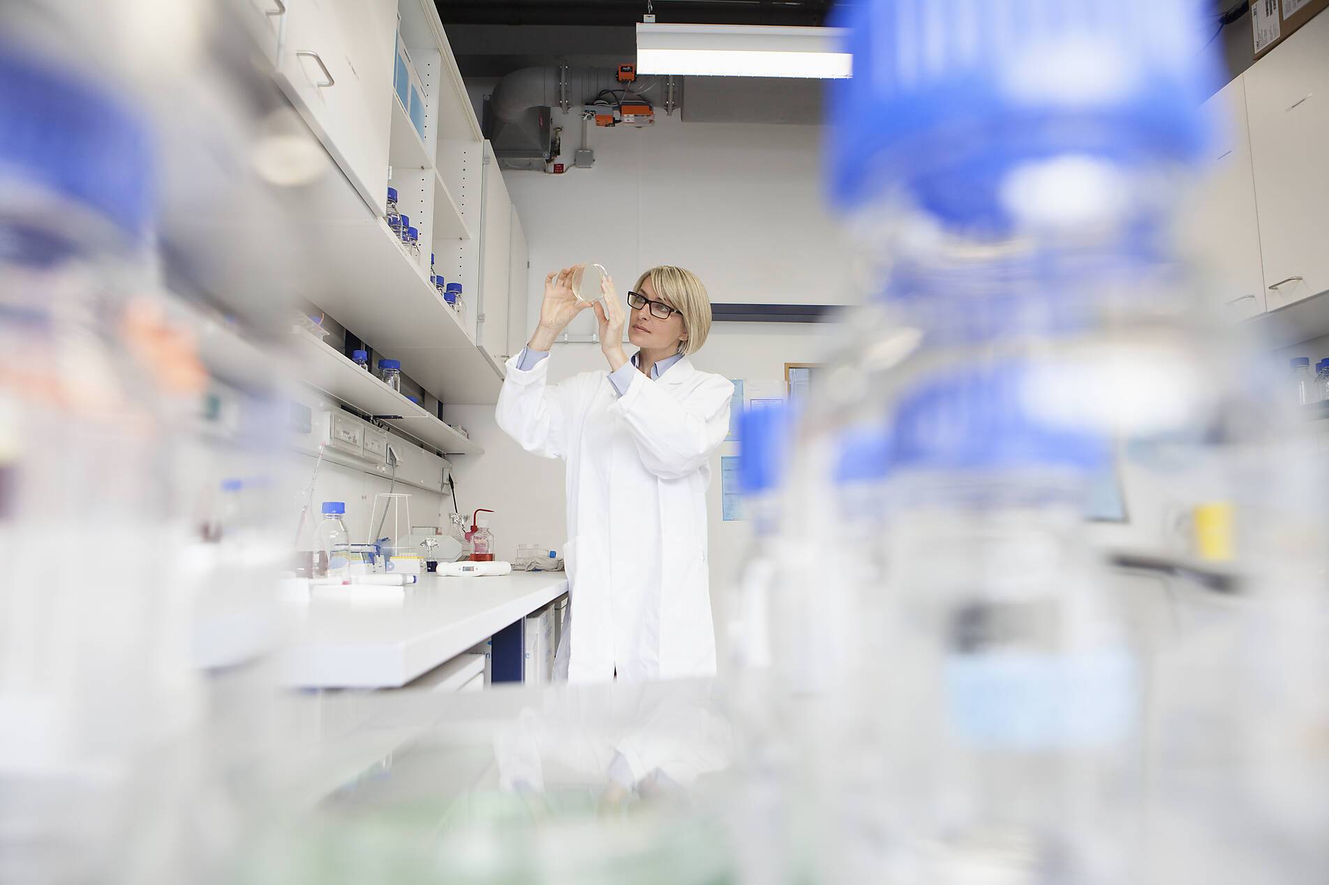 stockfoto, royalty-free, Scientist with petri dish in laboratory