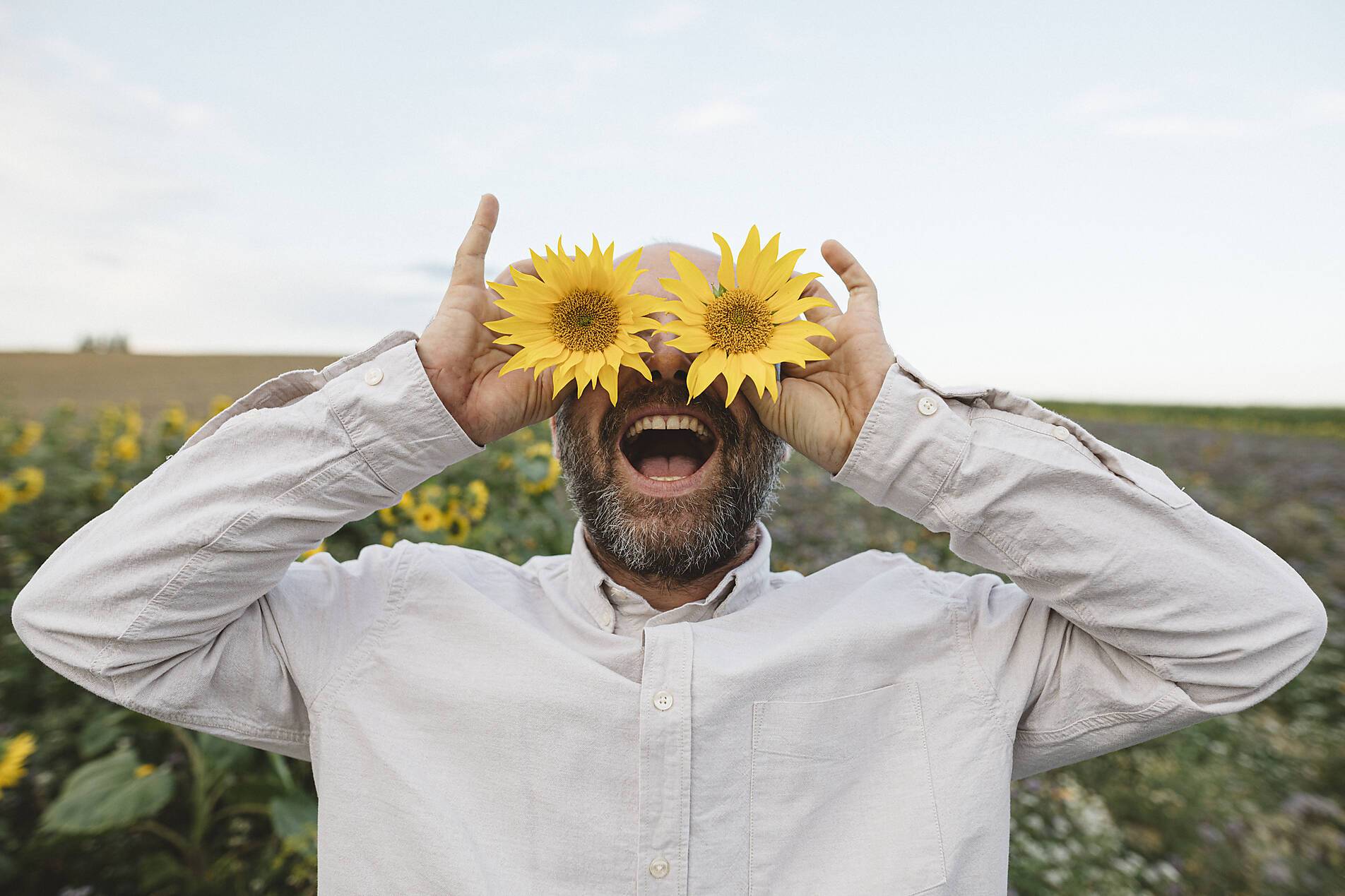 stock image, royalty-free, Playful man covering his eyes with sunflowers in a field, grown up man full of joy for life