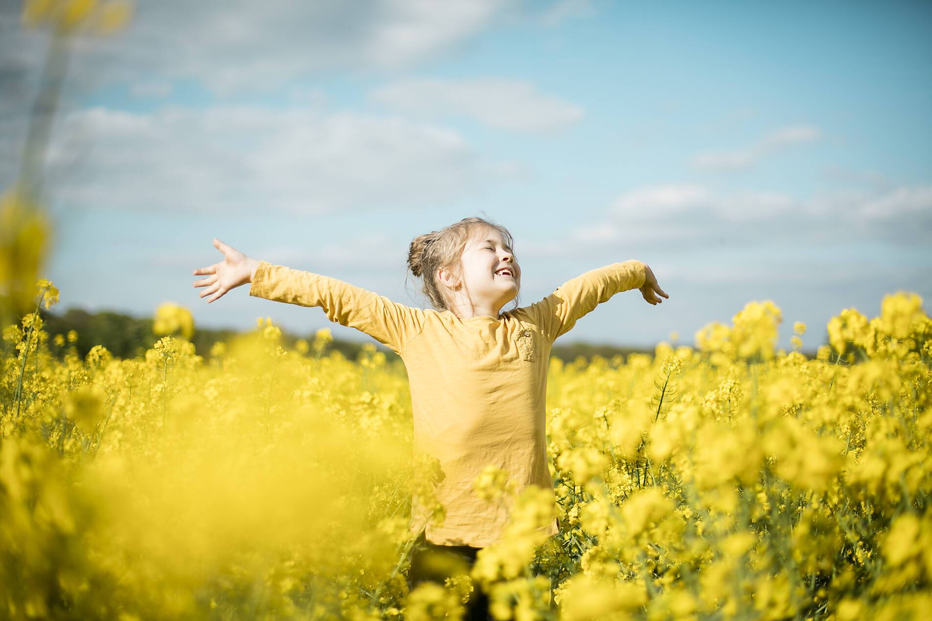 stock image, royalty-free, Carefree girl in rape field