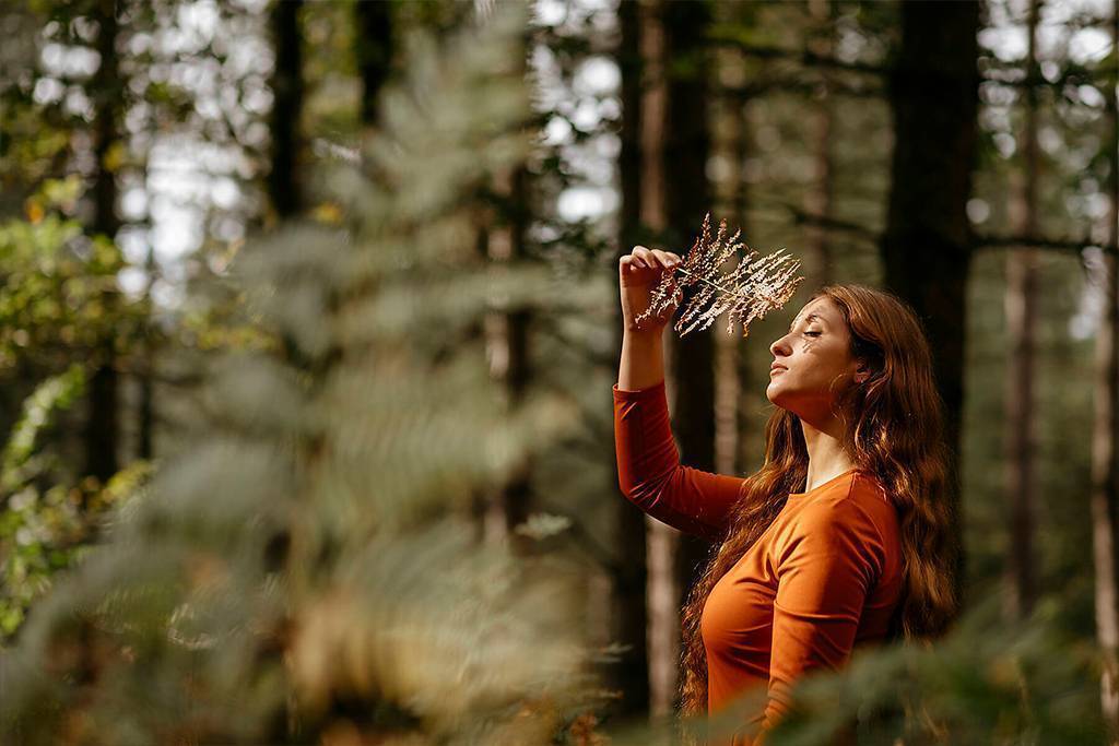 stock image, royalty-free, Young woman with eyes closed holding plant while standing against trees in forest