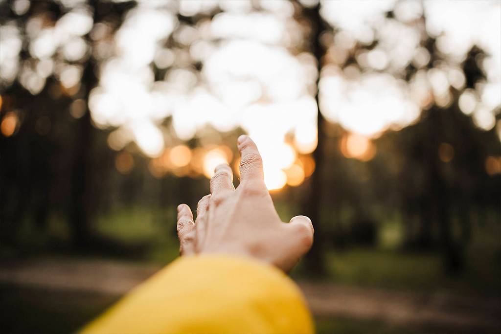 stock image, royalty-free, female hand reaches out in forest, yellow jacket