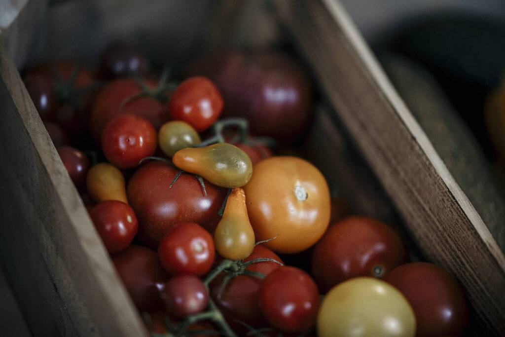 Stockbild, lizenzfrei, Frische und biologische Tomaten im Korb, Europe, Germany, Brandenburg, Spreewald, "Landwarenhaus Groß Beuchow", Beuchower Hauptstraße 10, 03222 Luebbenau (Spreewald) OT Groß Beuchow