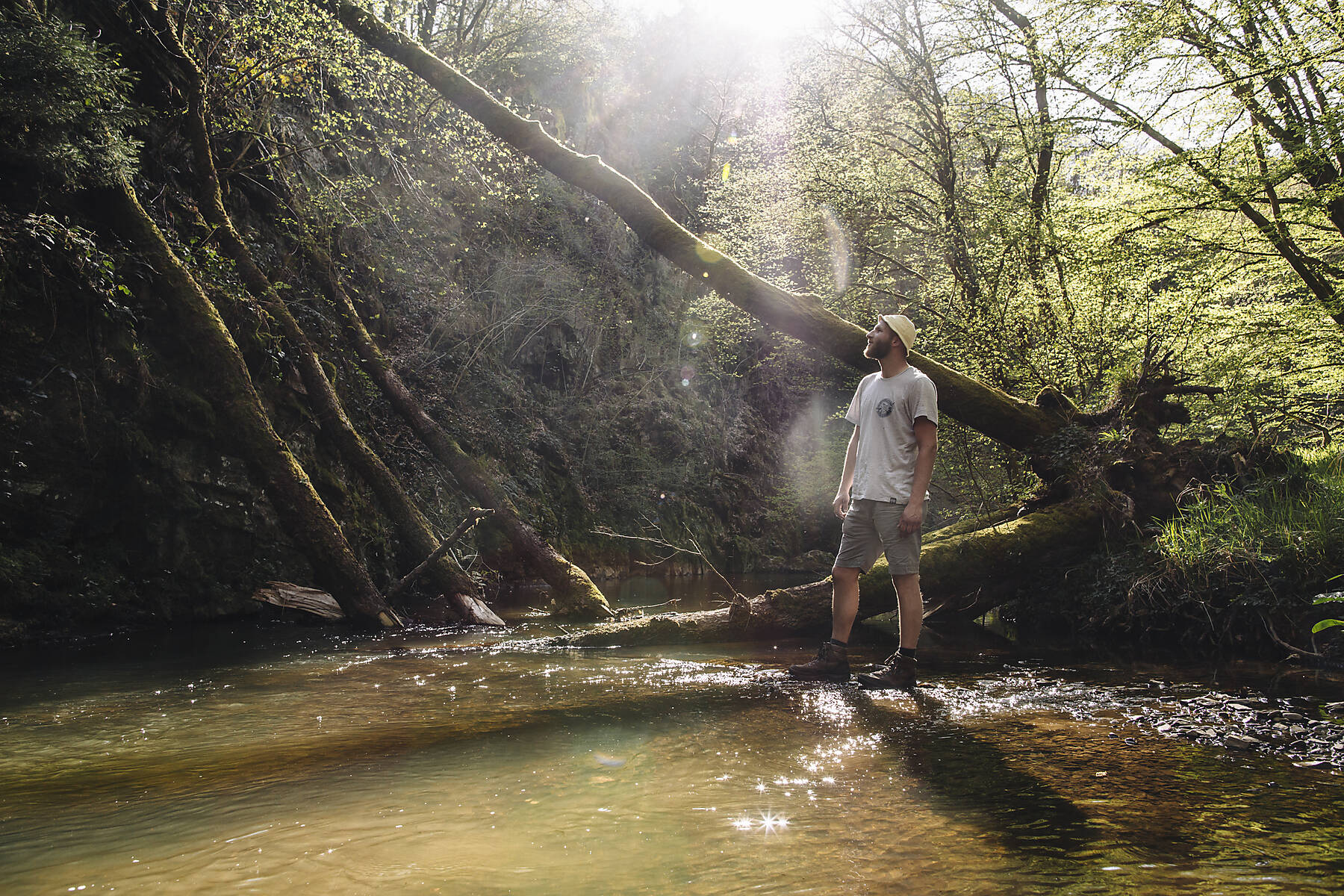 Stock image, royalty-free, Germany, Rhineland-Palatinate, Vulkan Eifel, hiker standing at lakeshore