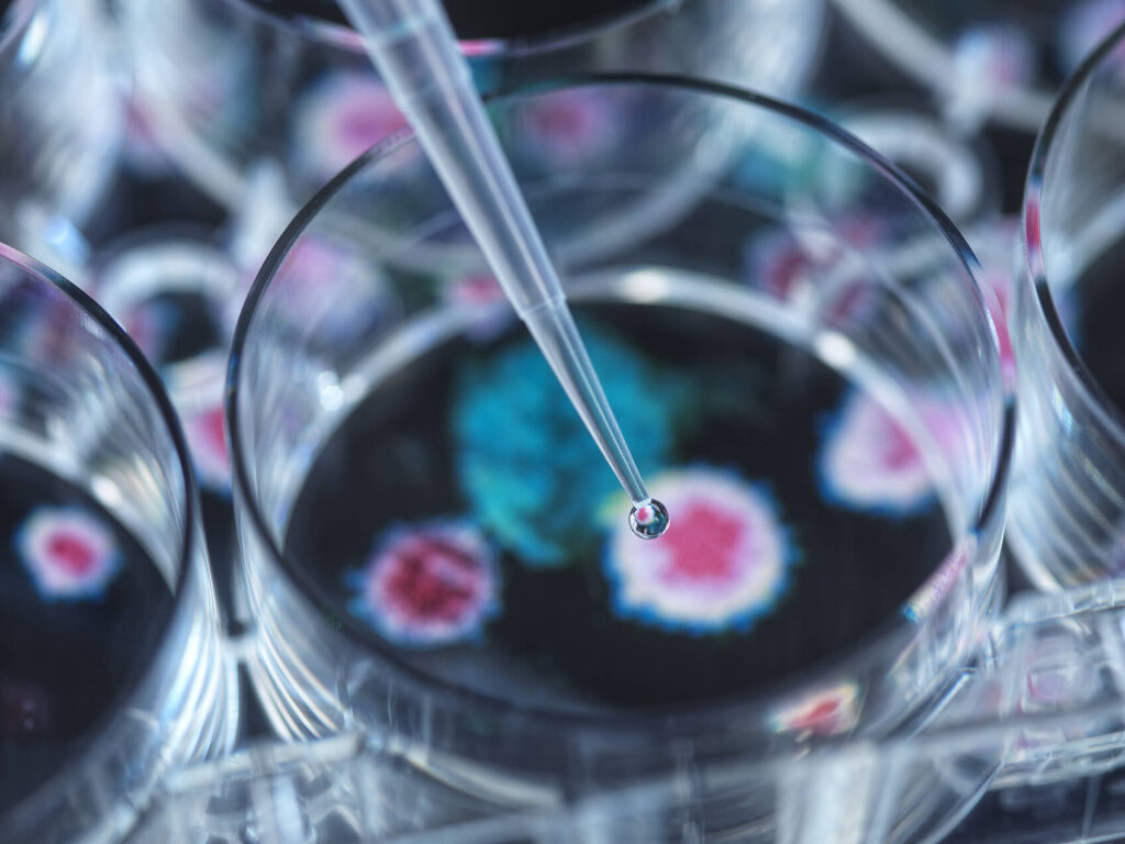 Stockfoto, lizenzfrei, Pipettieren des potenziellen Heilmittels auf das Virus in der Petrischale