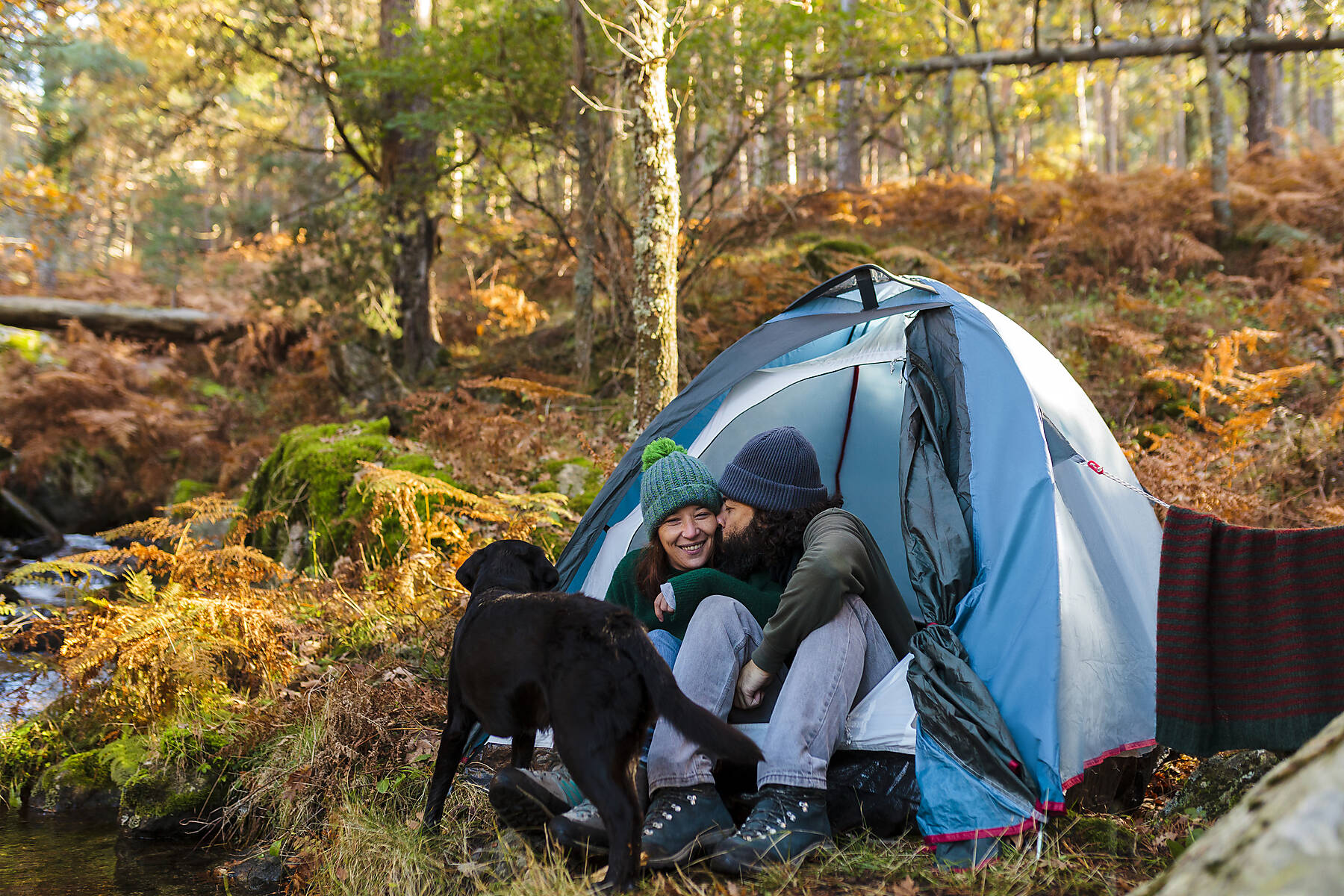 stock image, royalty-free, Man kissing girlfriend by dog in tent at autumn forest