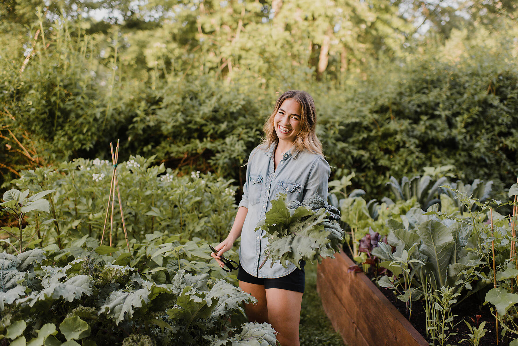 stock image, royalty-free, Woman working on plants and vegetables in her garden