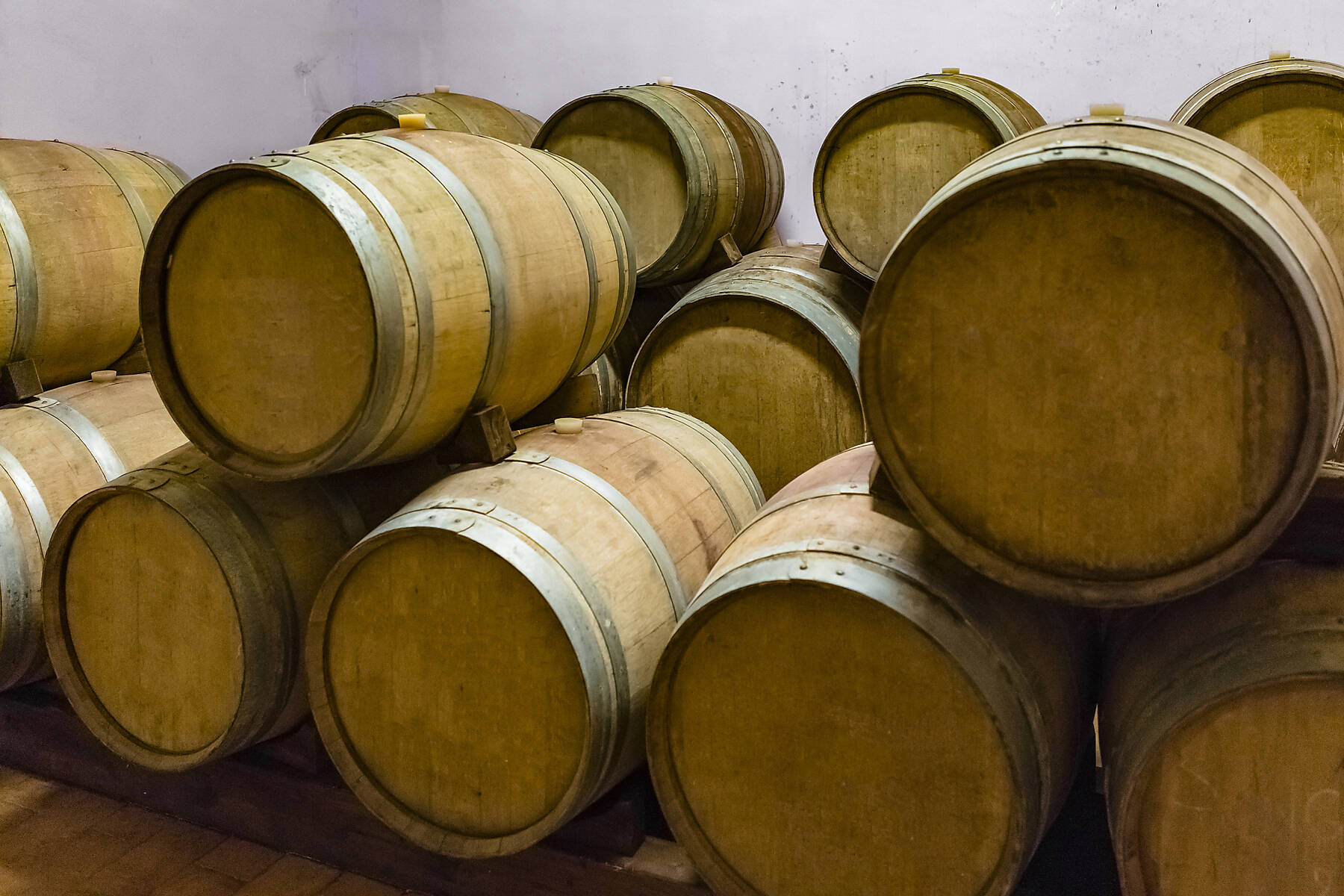 stock image, royalty-free, Cellar with Wooden Barrels full of Wine, Tuscany, Italy