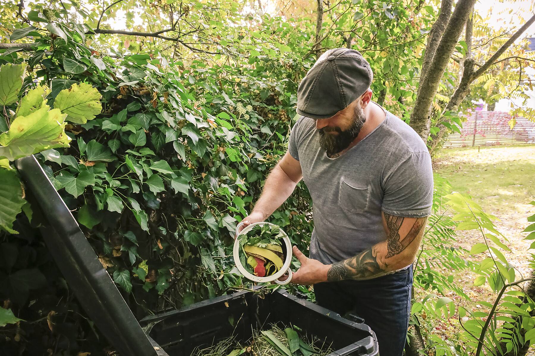 stock image, royalty-free, Mature man discarding kitchen scraps on compost pile