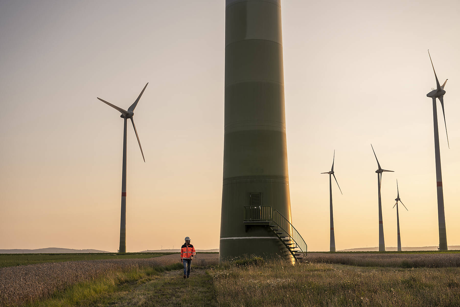 stock image, royalty-free, Male engineer walking on meadow in front of wind turbines