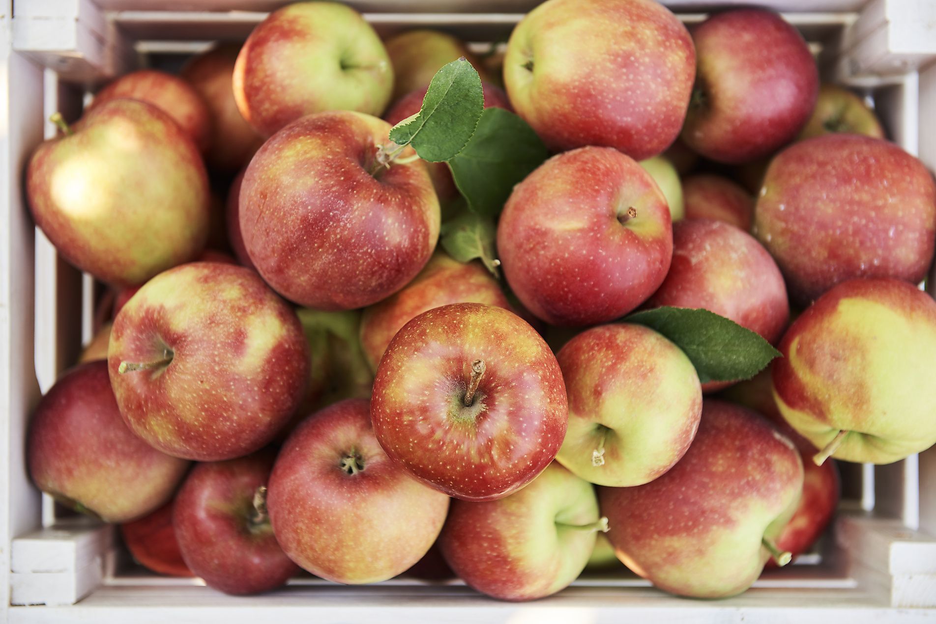 Stock image, royalty-free, apples in a crate
