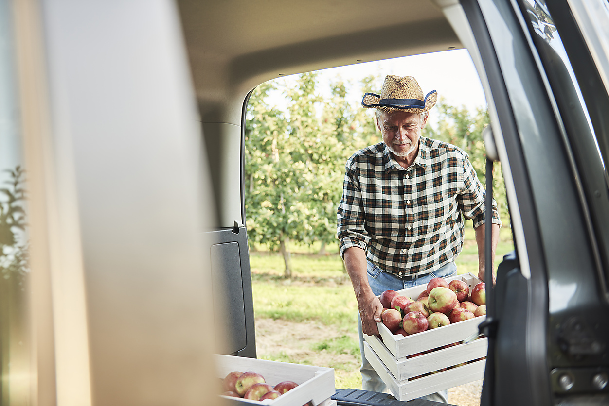 Stock image, royalty-free, Fruit grower loading car with apple crates