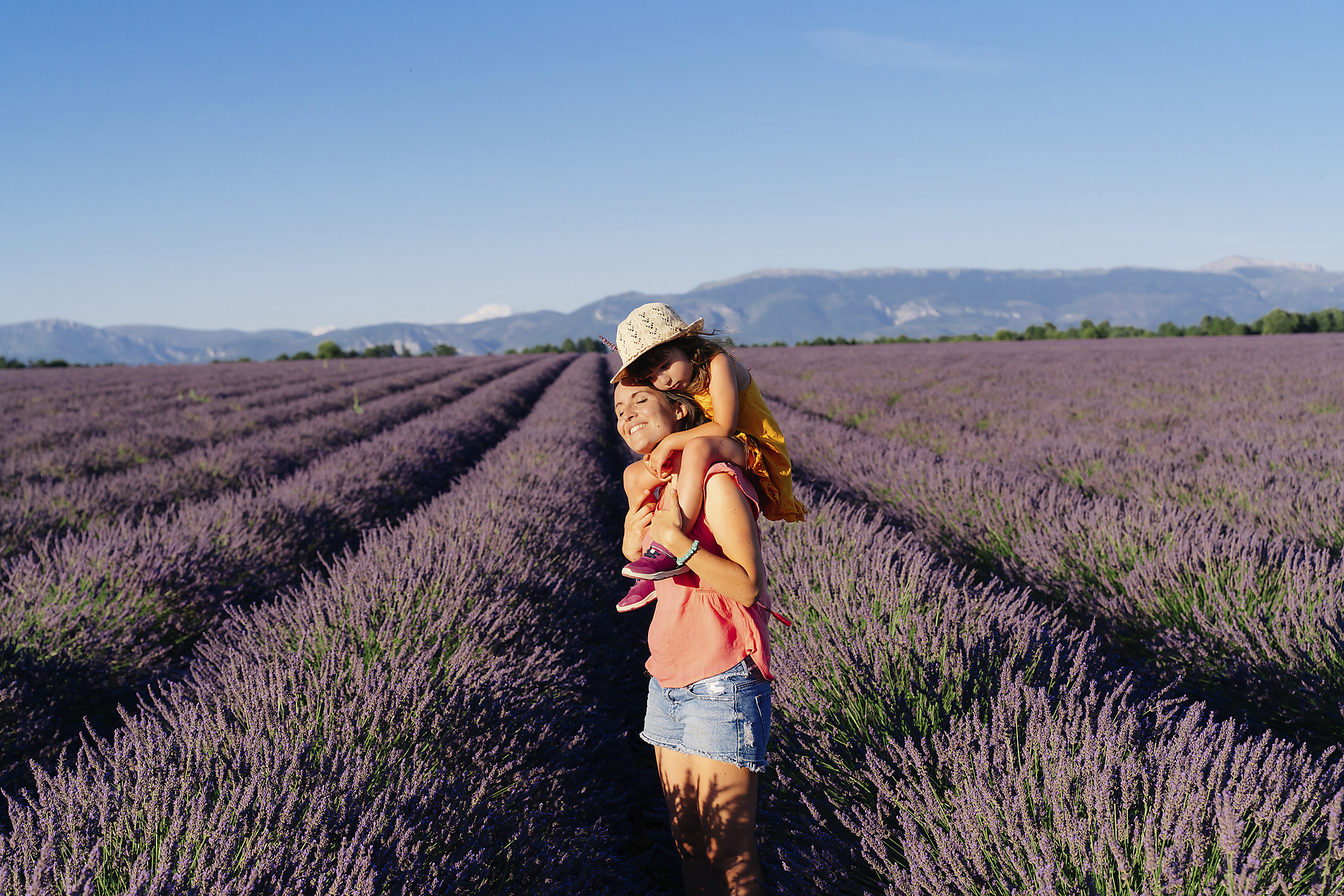 Stock image, royalty-free, Little girl on shoulders of happy mother in a lavender field at afternoon in Valensole, Provence, France, family, South, Summer, Studio in the Wild