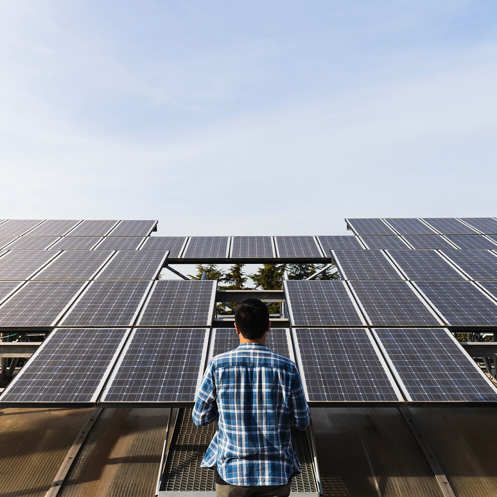Stockfoto, lizenzfrei, Rückenansicht anonymer professioneller Techniker mit kariertem Hemd, der Photovoltaik-Paneele in einem Solarkraftwerk bei klarem, sonnigem Wetter überprüft