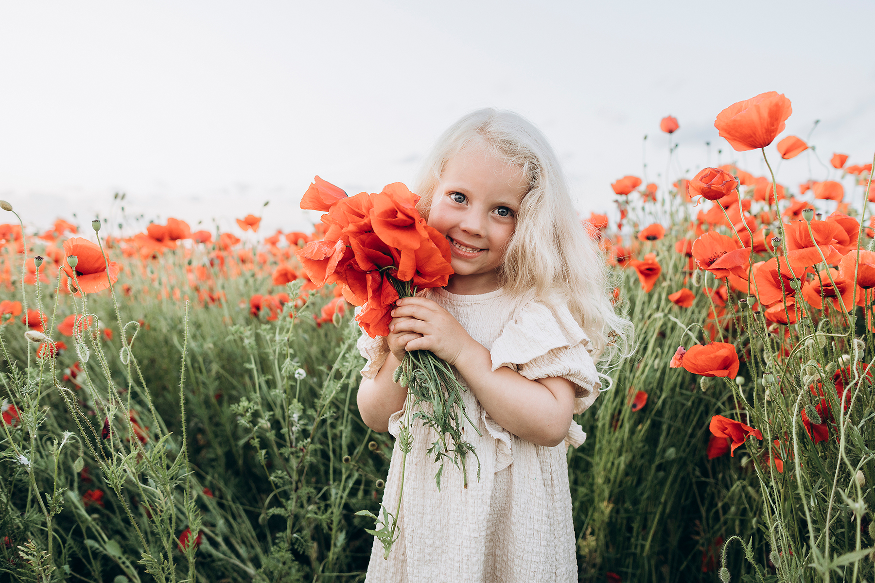 stock photo, royalty-free, /en/imageView/SIF00206/smiling-girl-holding-red-flower-in-poppy-field