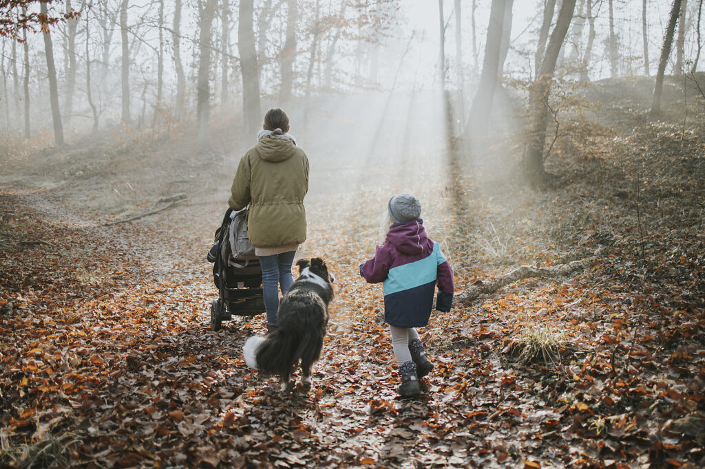 Stock image, lizenzfrei, Mutter spaziert mit Kindern, Kinderwagen und Border Collie Hund im Wald im Herbst, Fotograf Frederik Franz