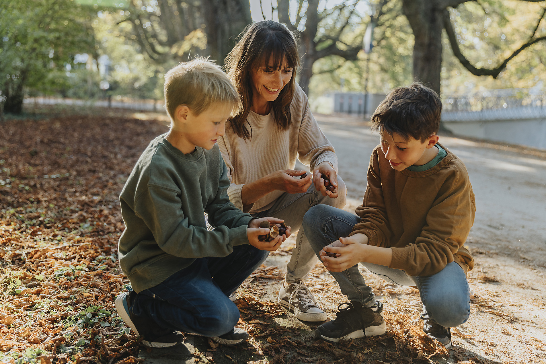 stock image, royalty-free, Mareen Fischinger, Mother and sons collecting chestnuts in public park, Autumn