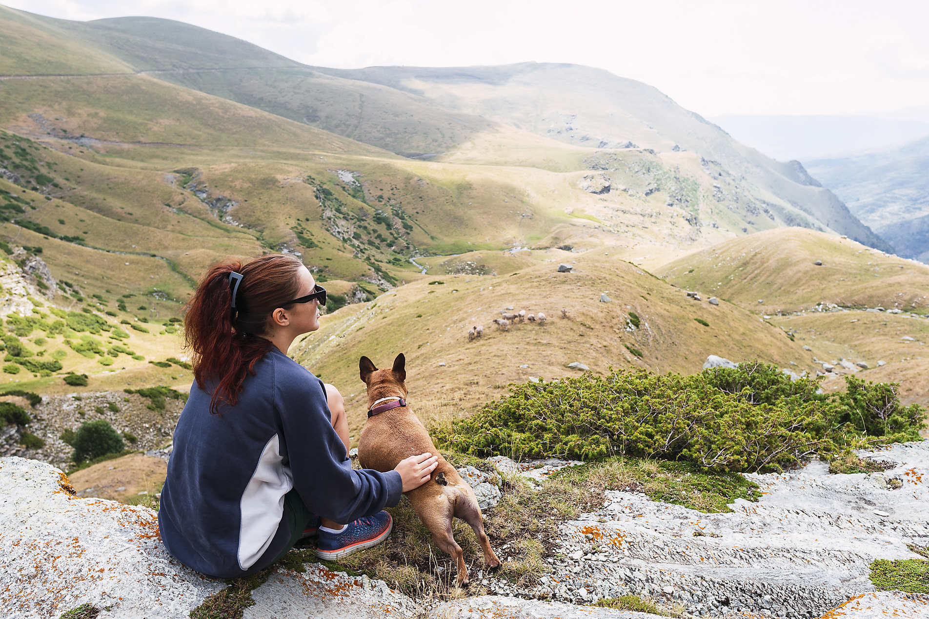 stock image, royalty-free, pau novell, woman sitting next to her dog in the pyreness, Pyrenees, Spain. Random pictures of Pyrenees nature. Outdoors, nature, Pyrenees, mountain, landscape, beauty, explore, adventure, spain, car, view, amazing, green, panoramic.