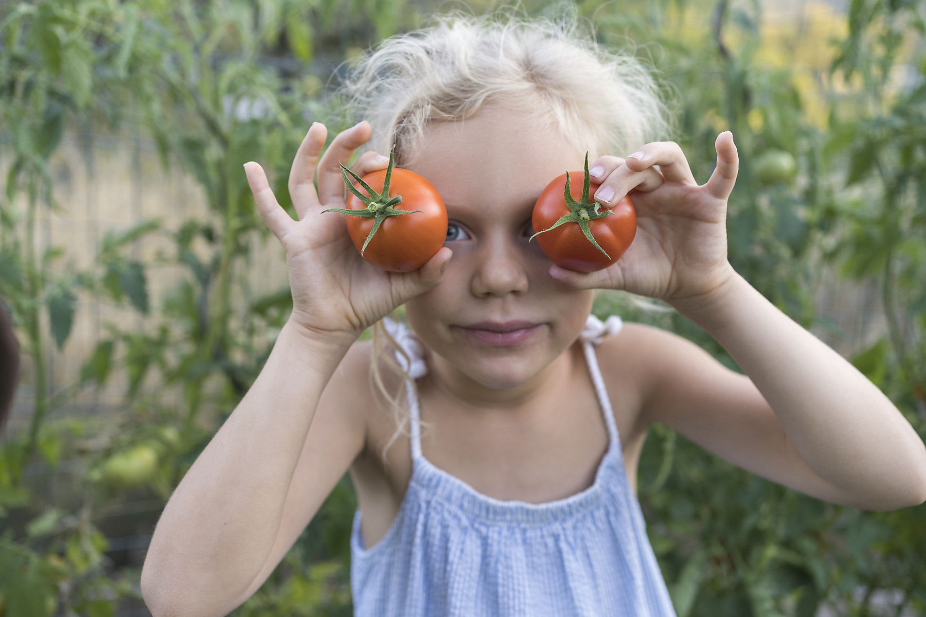 Stockfoto, lizenzfrei, blondes Mädchen hält sich im Garten Tomaten vor die Augen, Svetlana Karner