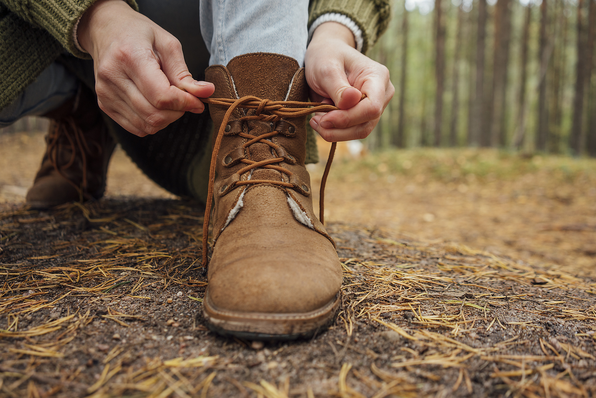 Stock image, Woman tying shoelace of boot in forest, royalty-free, Autumn, Vasily Pindyurin