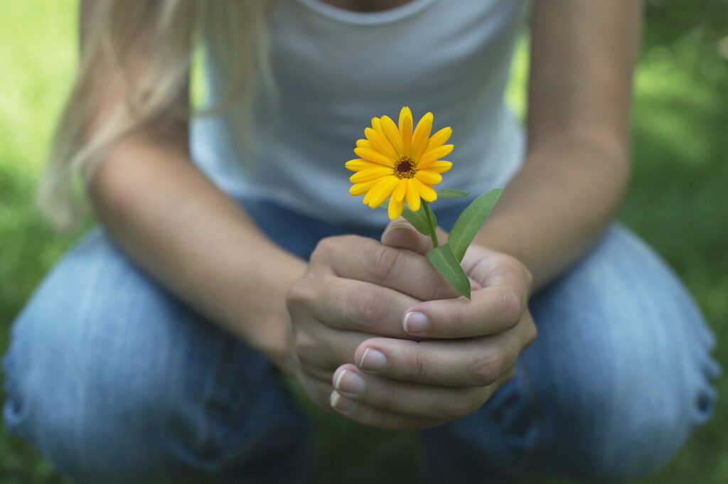 Stock image, royalty-free, Westend61, Claudia Reh, Hands of woman holding pot marigold