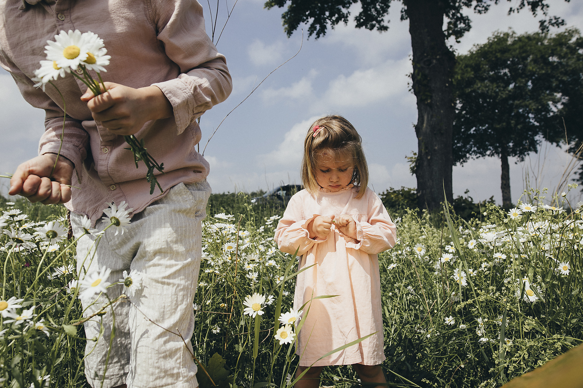 stock image, royalty-free, Siblings picking flowers on a meadow, Katharina Mikhrin, Westend61