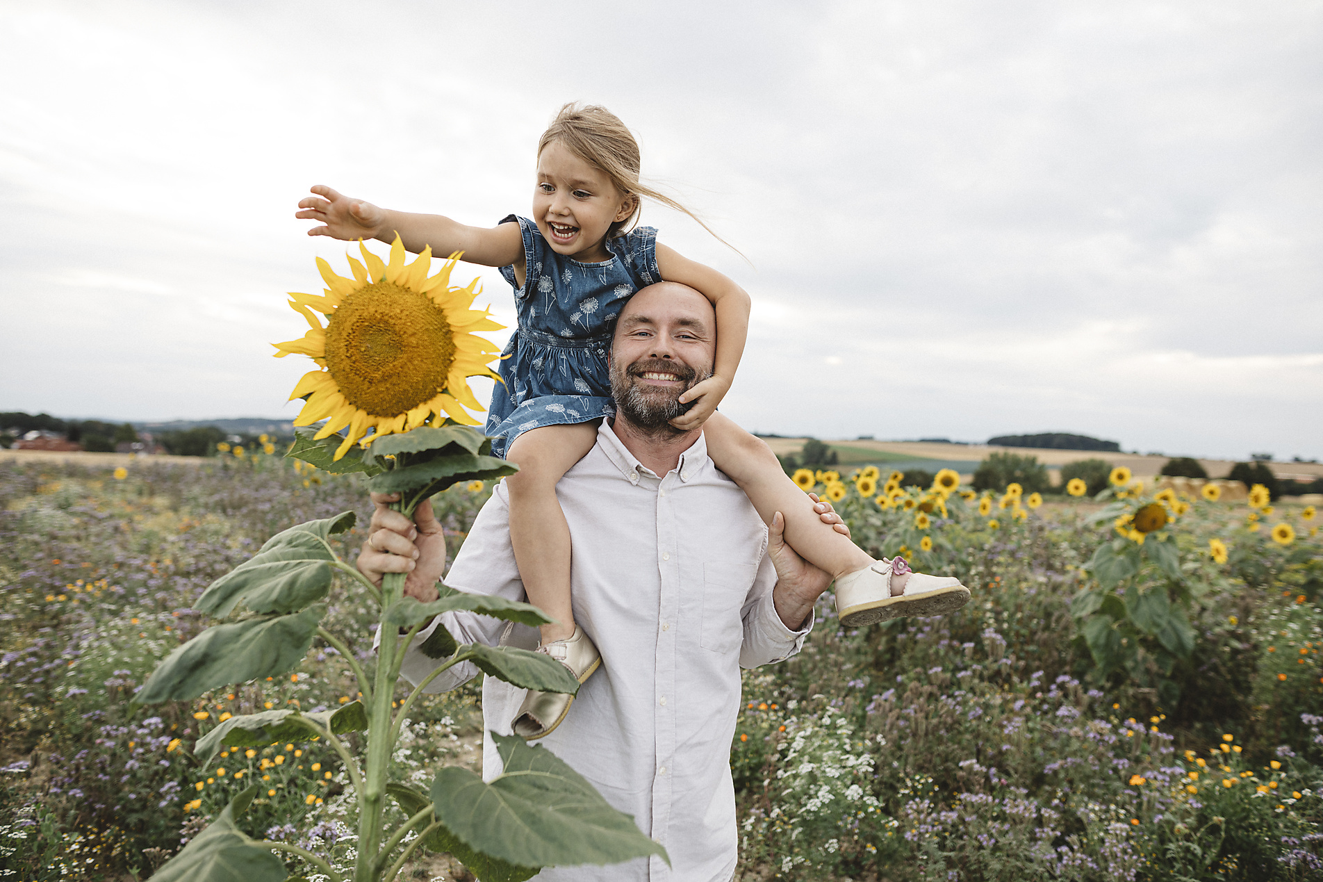 stock image, royalty-free, Happy man carrying daughter in a sunflower field, Westend61, Katharina Mikhrin