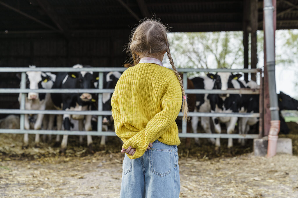 stock image, royalty-free, westend61, katharina mikhrin, Girl wearing pigtails standing in front of cow farm