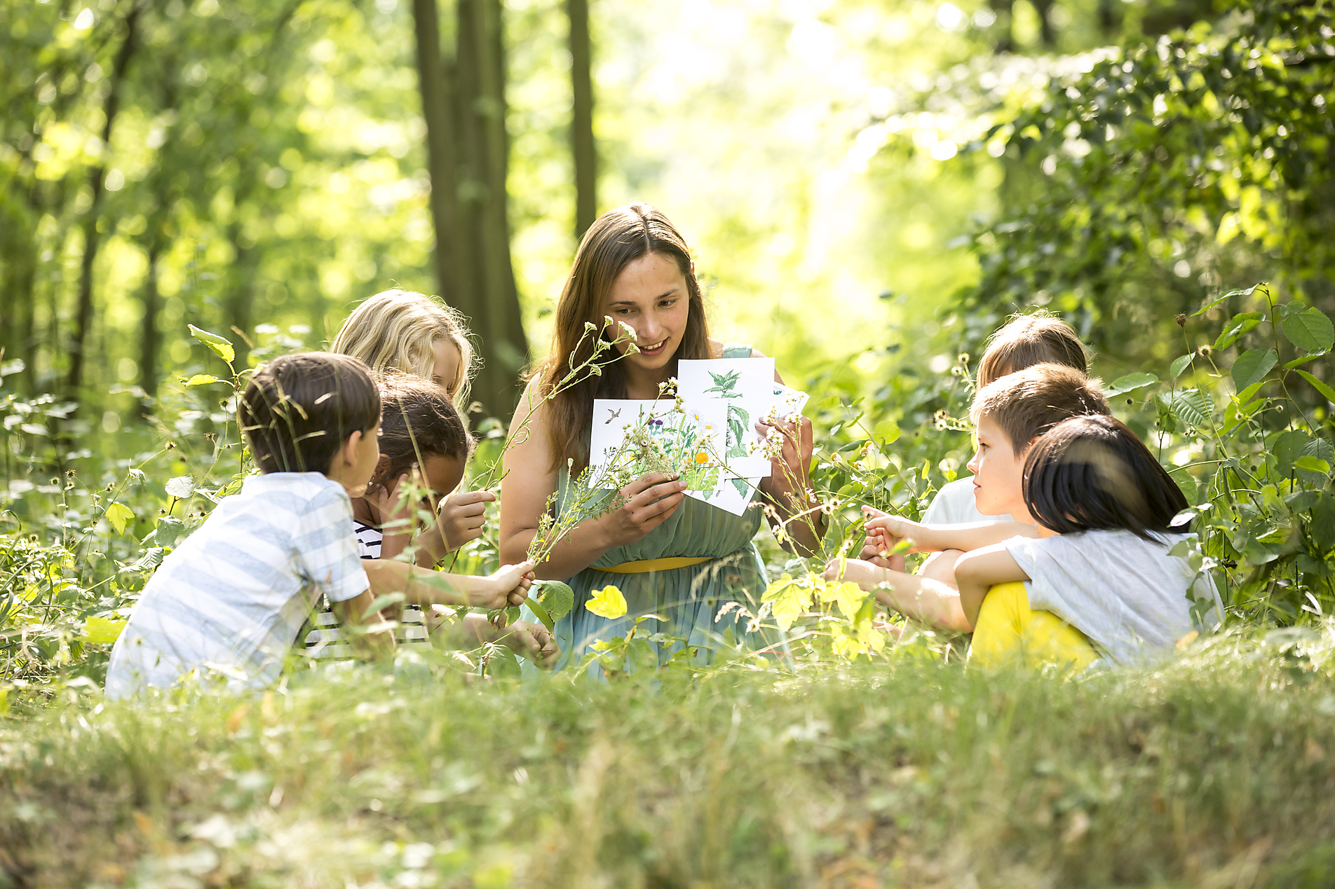 stock image, royalty-free, School children learning to recognize plants in nature, westend61, photo agency, future, sustainability, education