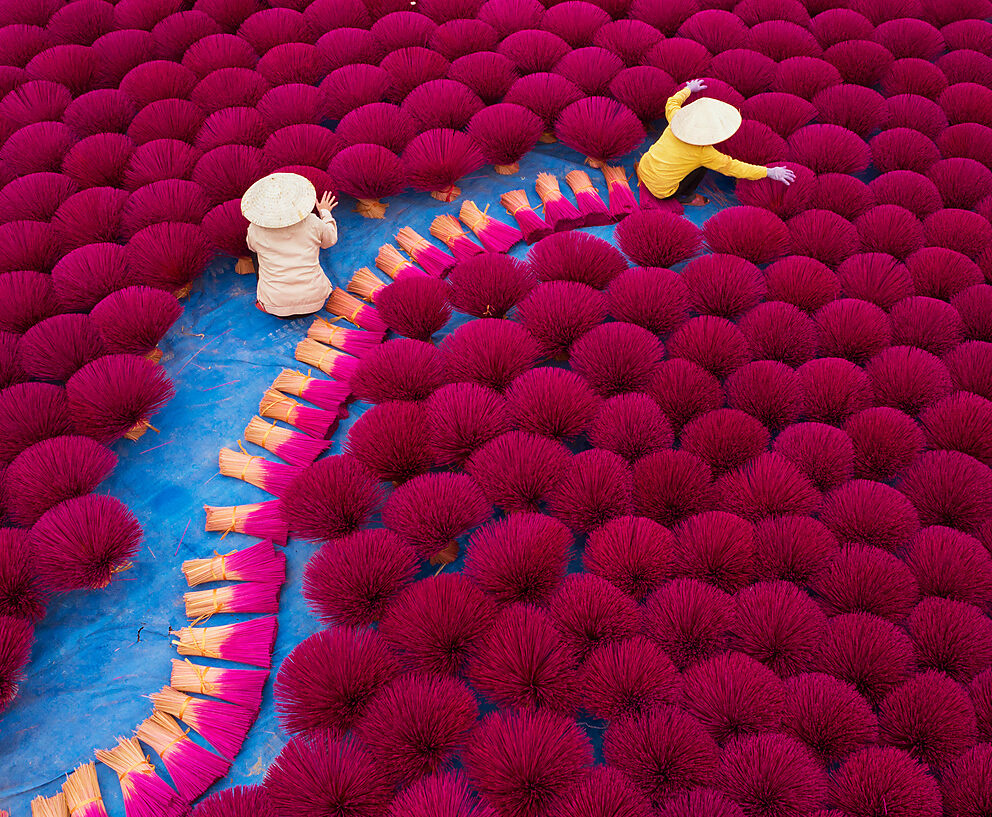 Stockfoto, lizenzfrei, Viva Magenta, Pantone Farbe 2023, Amazing Aerial, Westend61, Luftaufnahme von vietnamesischen Arbeitern, die Weihrauchstäbchen von einem Weihrauchfeld