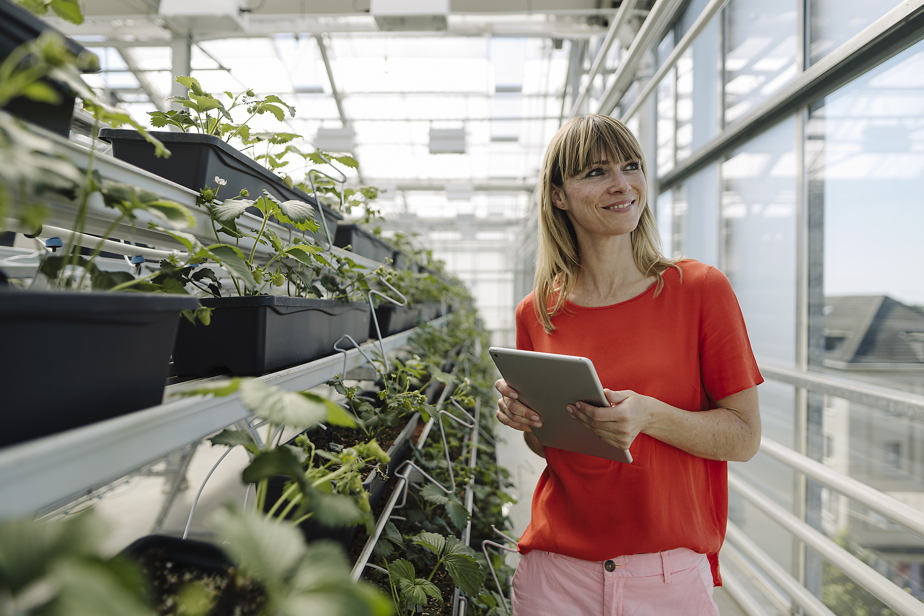 Smiling female entrepreneur with digital tablet looking away while standing by plants in nursery, stock image, royalty-free, plant based food, vegetarian, vegan, sustainable, healthy eating