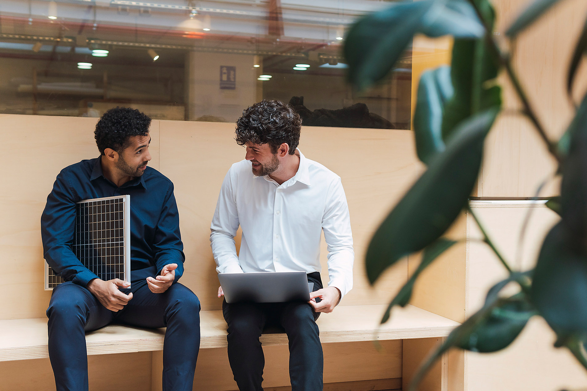 Businessman with solar panel and colleague with laptop talking in office, stock photo, royalty free, solar energy, sustainable energy, green office, sustainability, Westend61