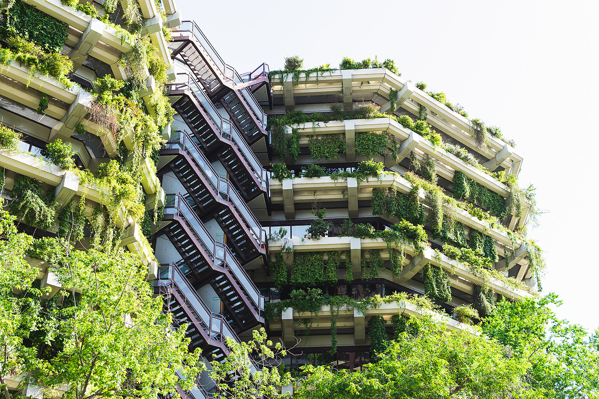 Facade of modern multistory building with abundance of green plants on balconies and stairways located on sunny street of city, Stock image, royalty-free, Municipality, greening, green architecture, emissions, emission-free, energy, climate, planting, facade of a modern multi-storey building with an abundance of green plants on balconies and staircases in a sunny city street, Westend61, smart cities