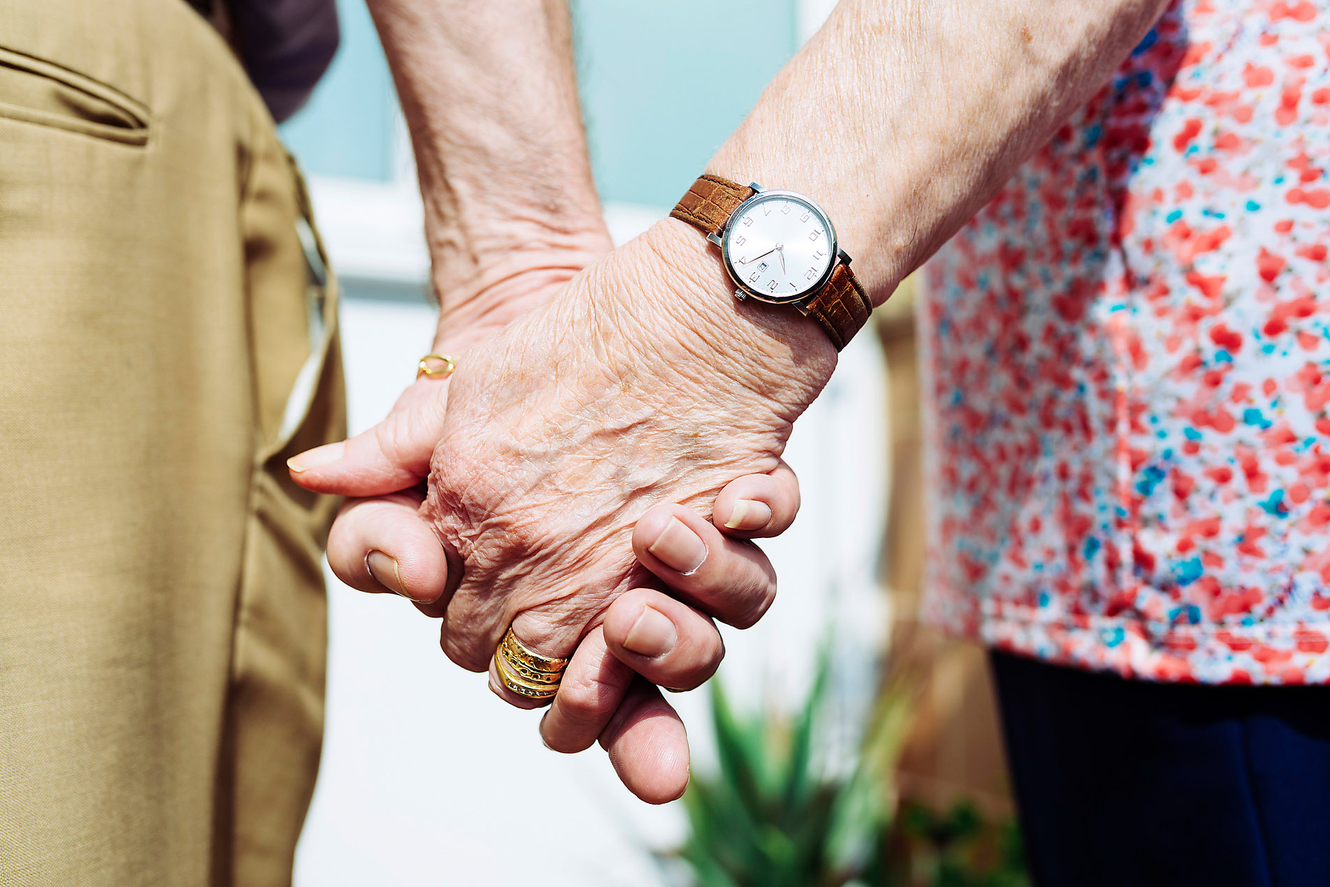 Back view of senior couple holding hands, close-up, target audience, silver ager, best ager, digit ager, westend61, senior love story, elderly people in love